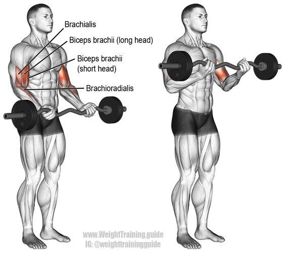 standing barbell 2